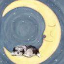 奋斗工作的颠人🙇🏼