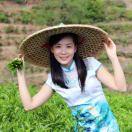 天山潮茗® 吴玲