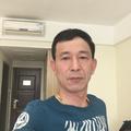 围垦不老松