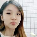 平凡的小燕子