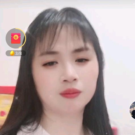 张有仙