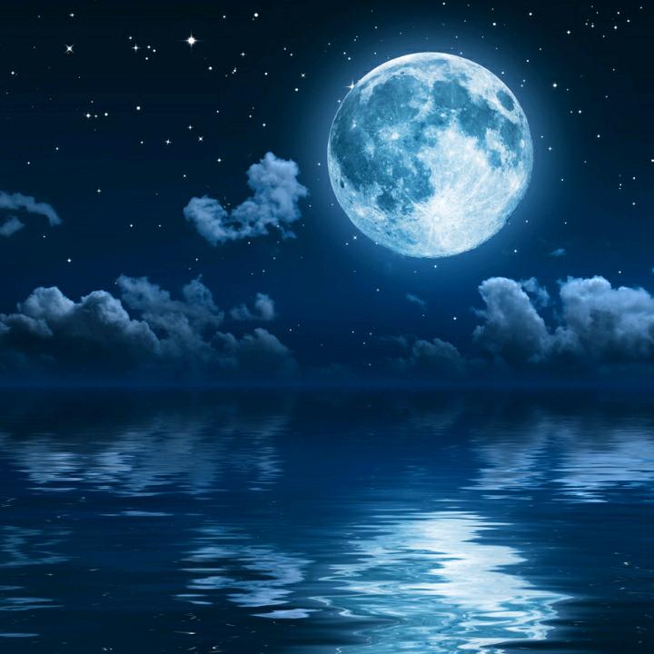 浮生辞