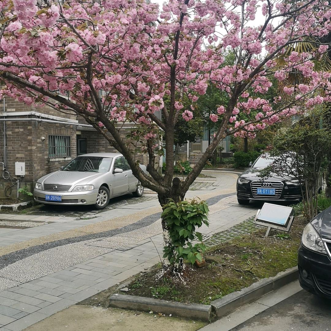 @祥哥