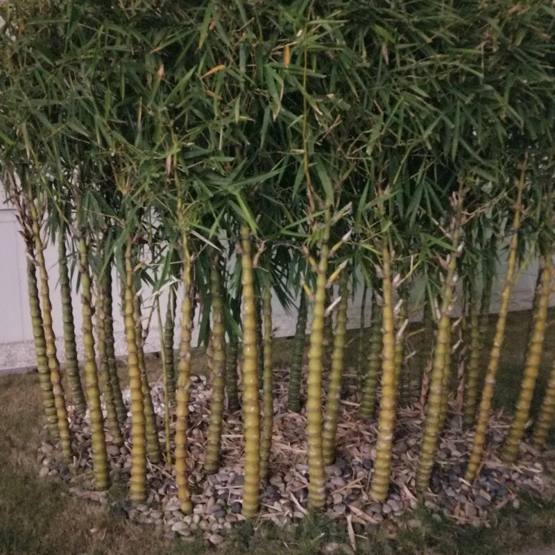 回想过去
