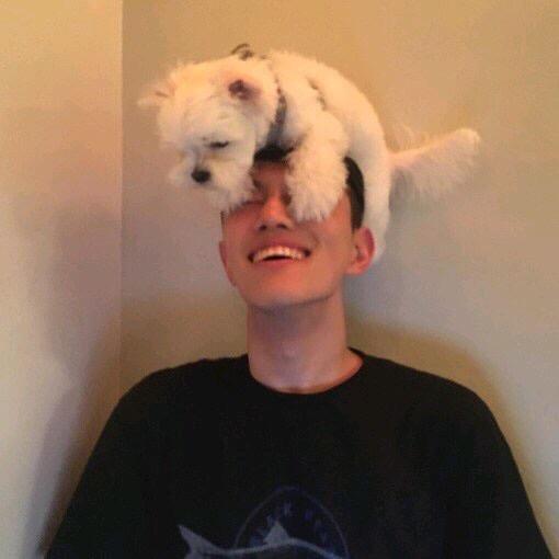 张百万