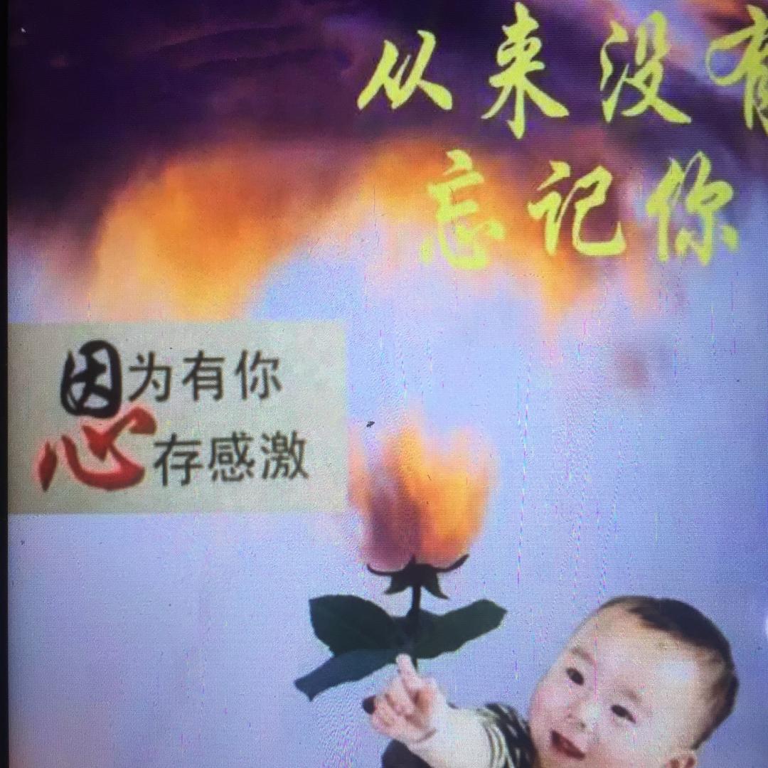 爱自己如养花