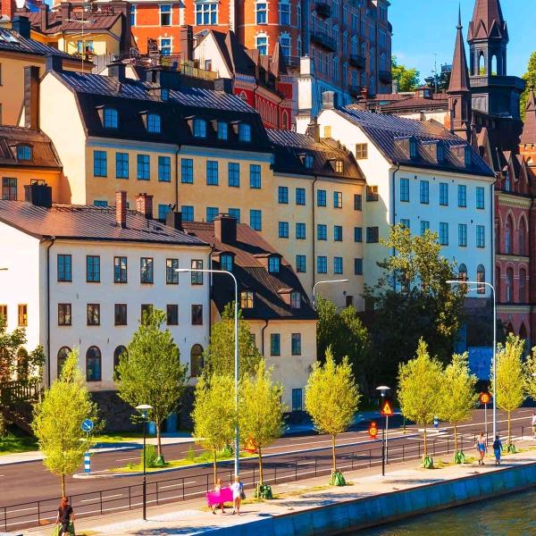 姐的孤独你不懂