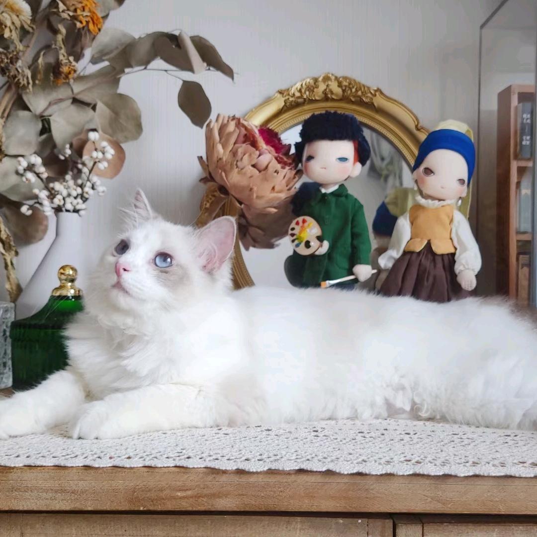 瑶瑶💓