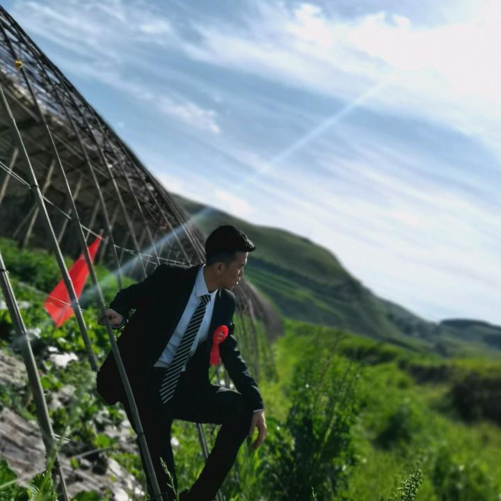 甘肃尕青春  🍃
