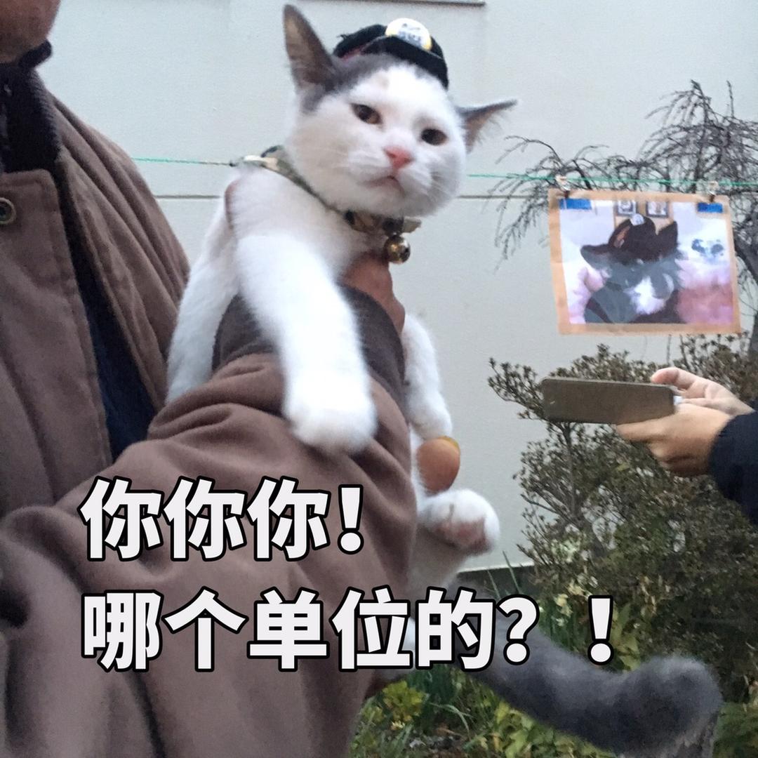 魔都省钱日记