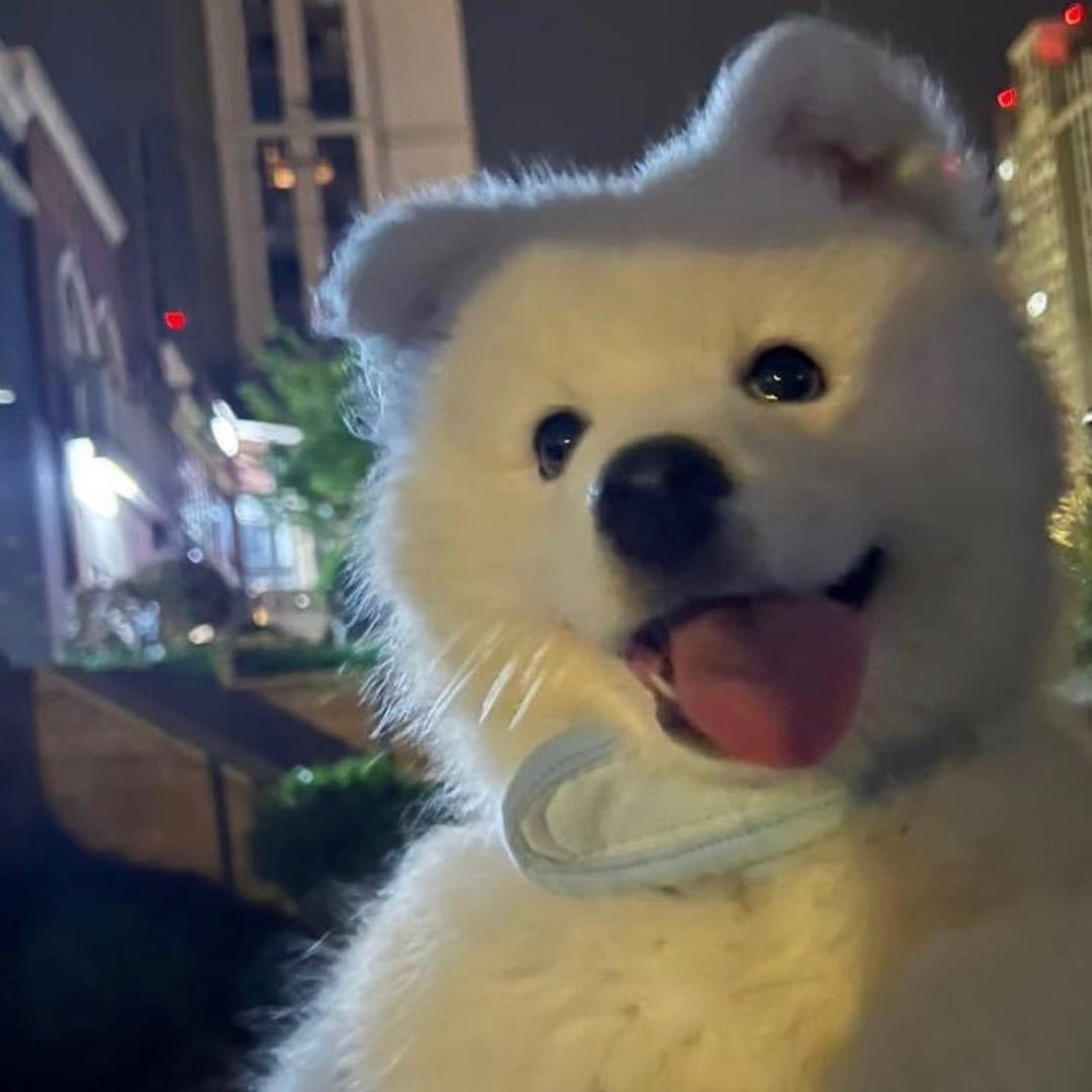 想接第一个广子