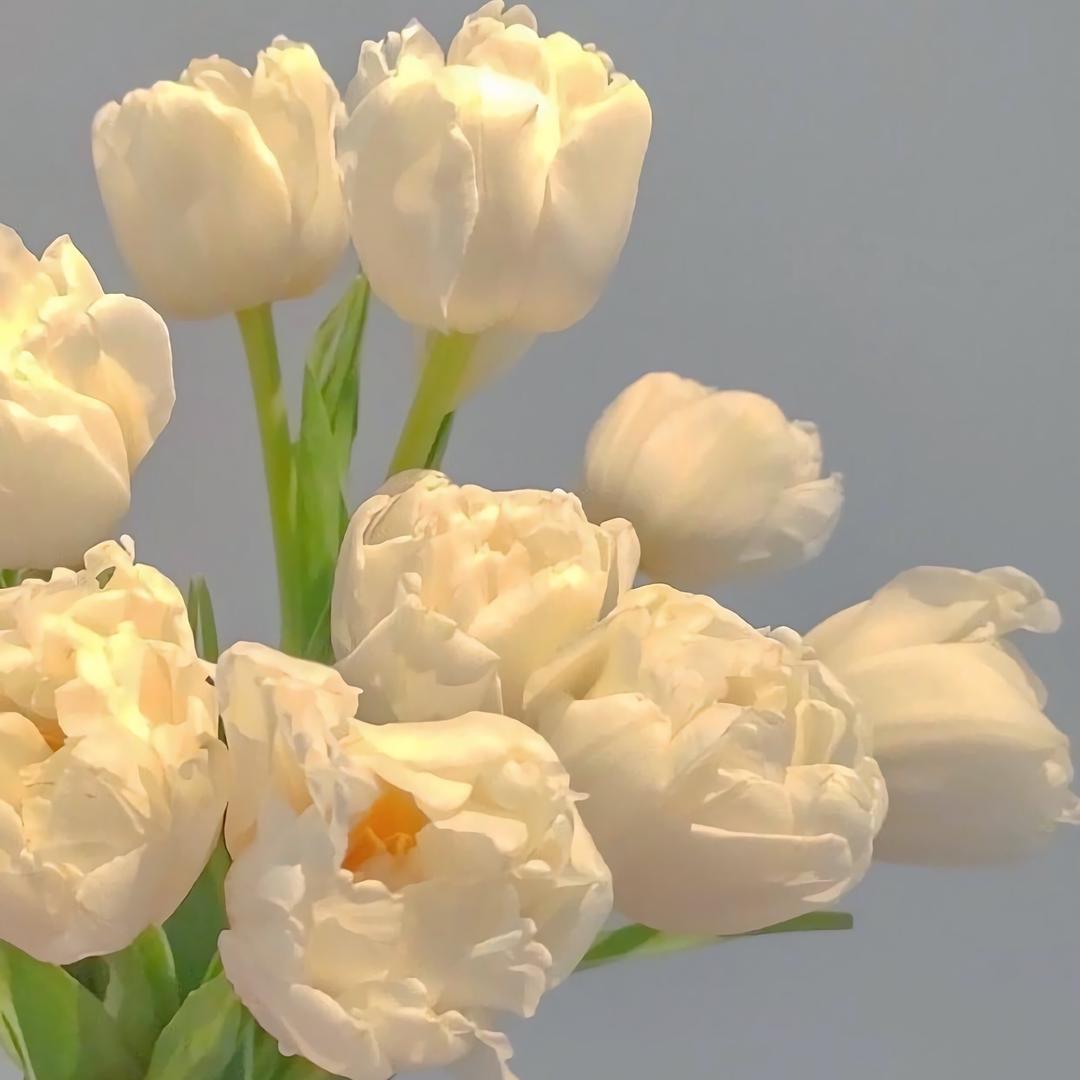 花花🌹