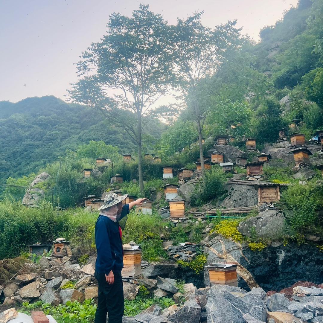 蓝田县小马哥蜂蜜百货店