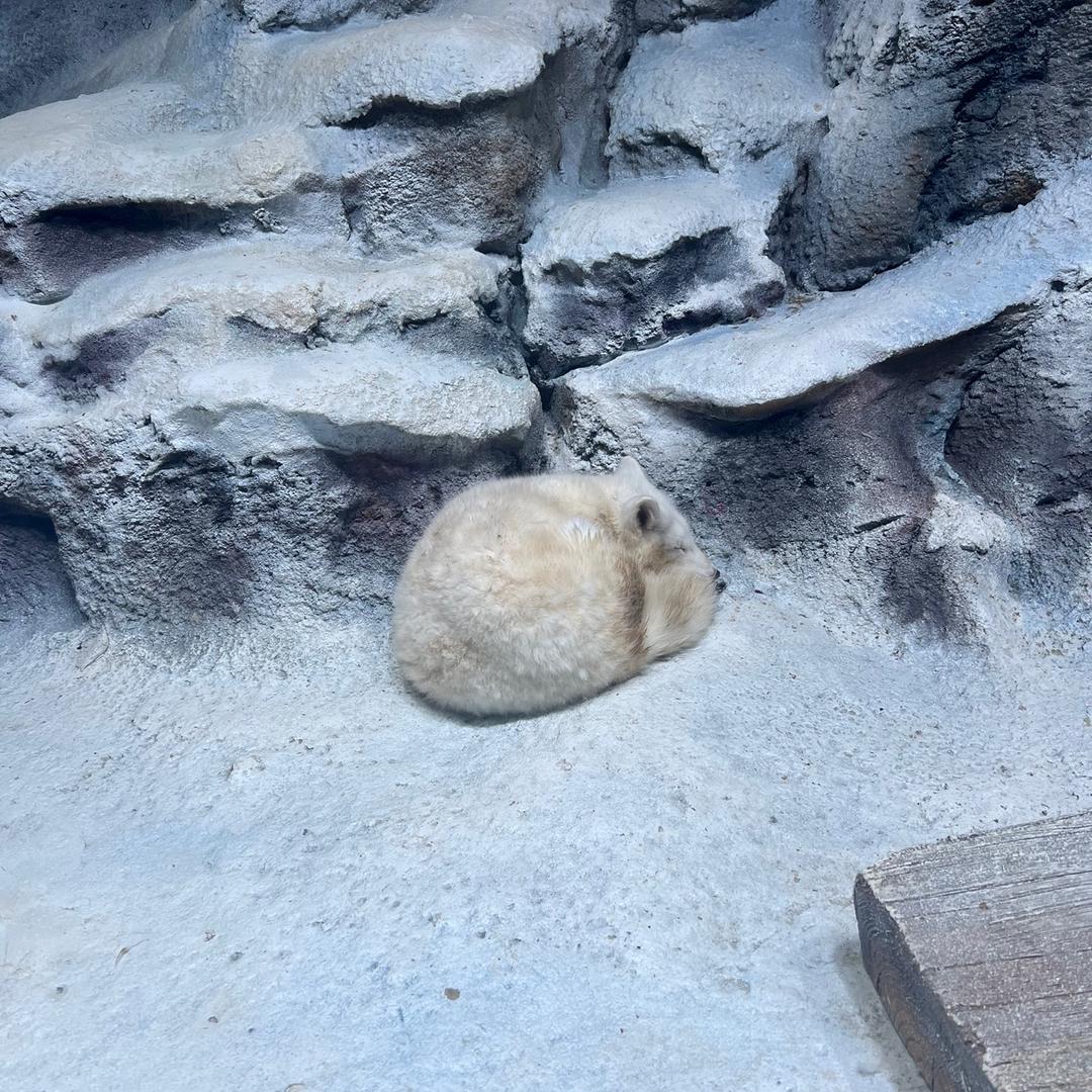 走走停停生活日记