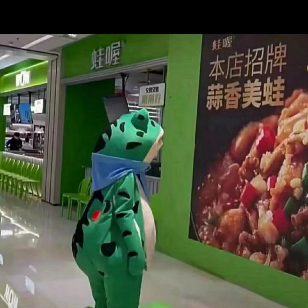会飞的青蛙🐸（龍弟）