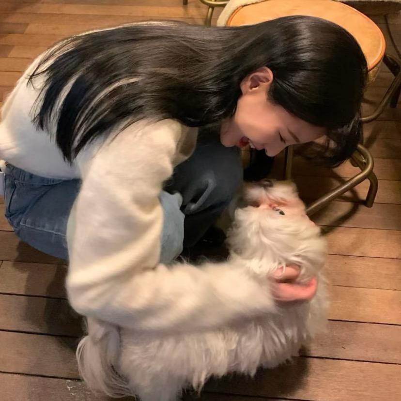 小耶优选