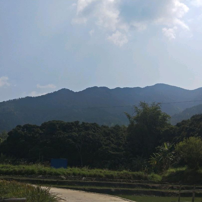 陇西哥
