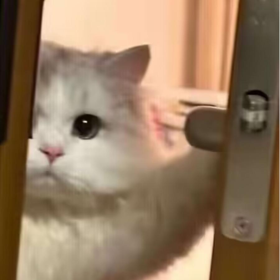 王者荣耀.代白