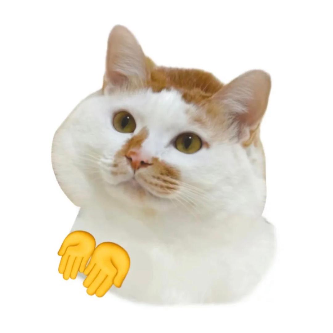 滴滴嘟嘟
