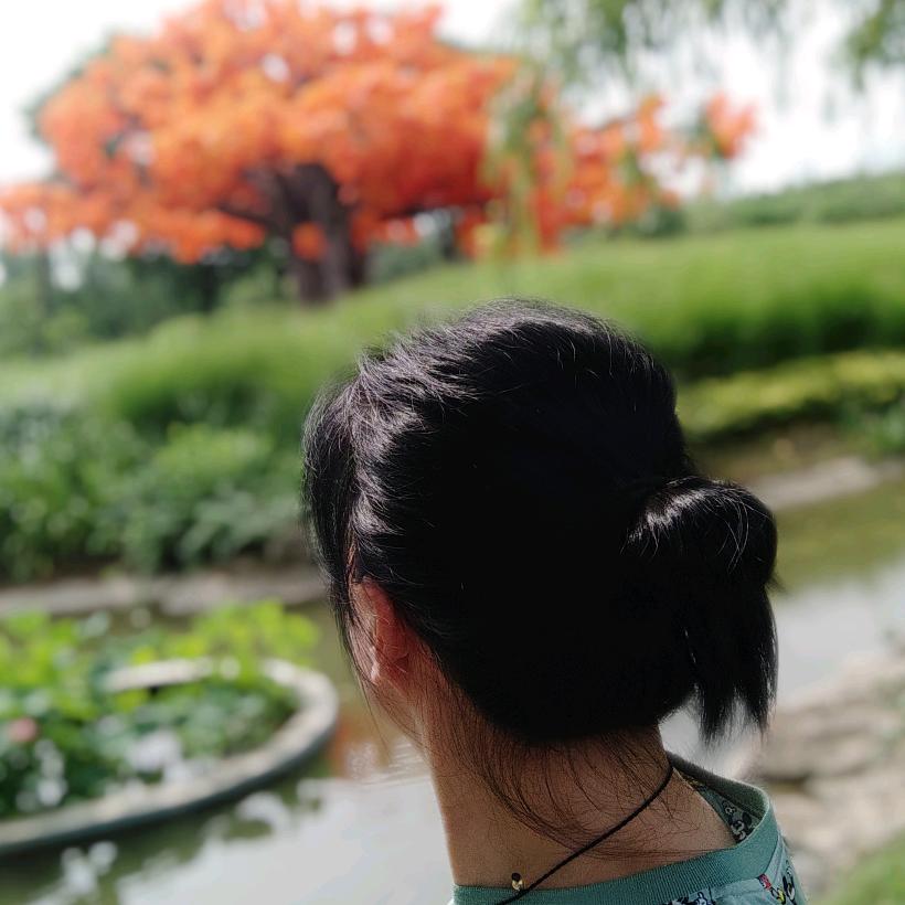 🌴 如意 🌸 🌴