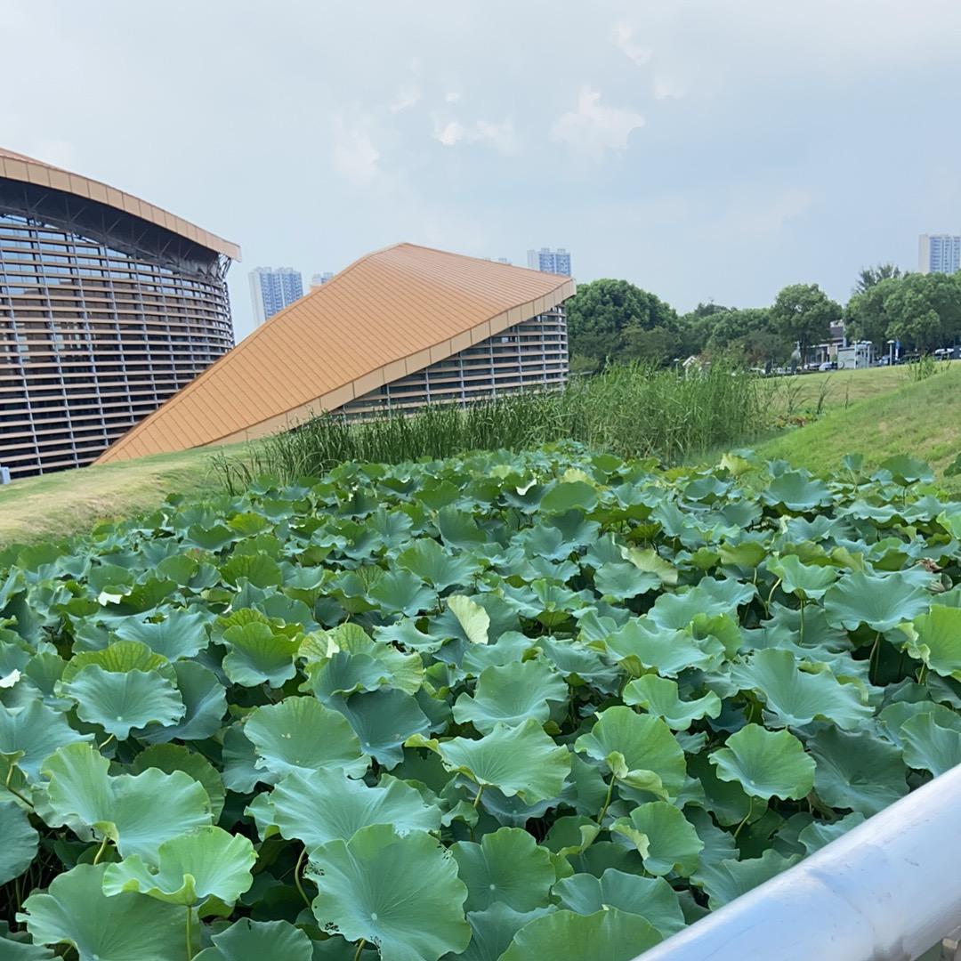 海口龙华藤瑞祺鲜生