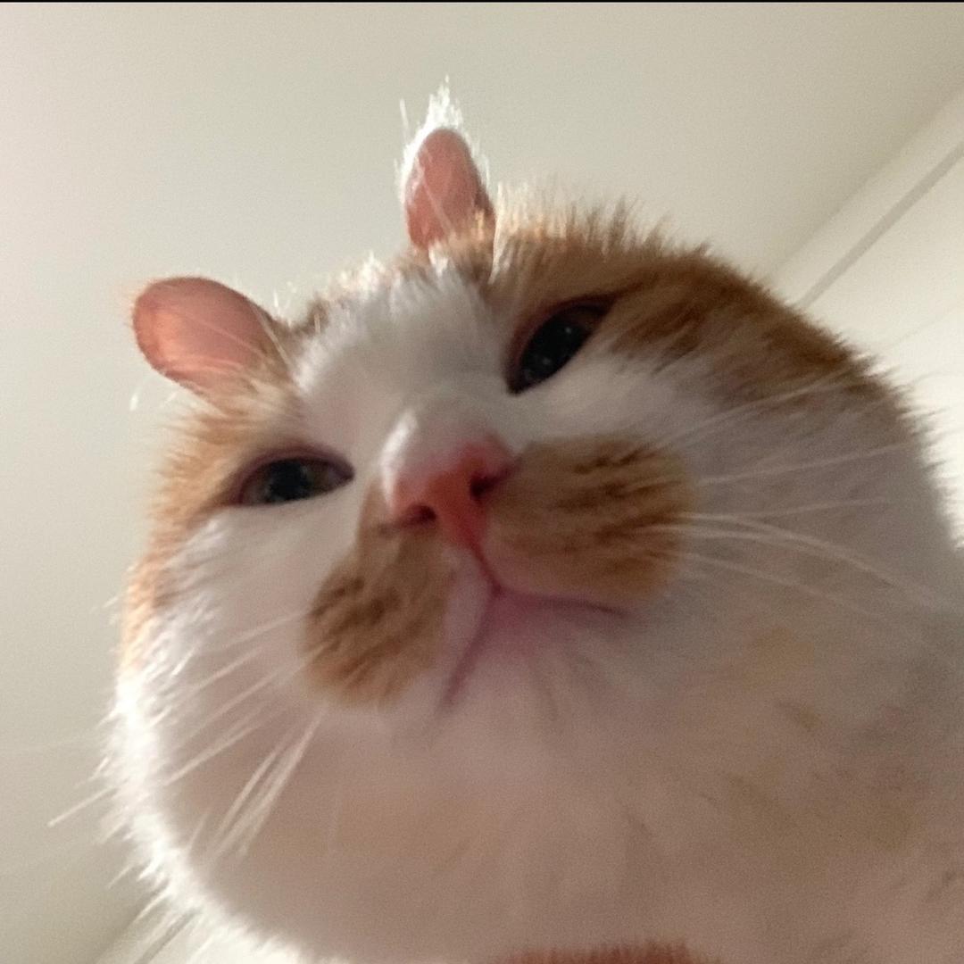 Ellie.