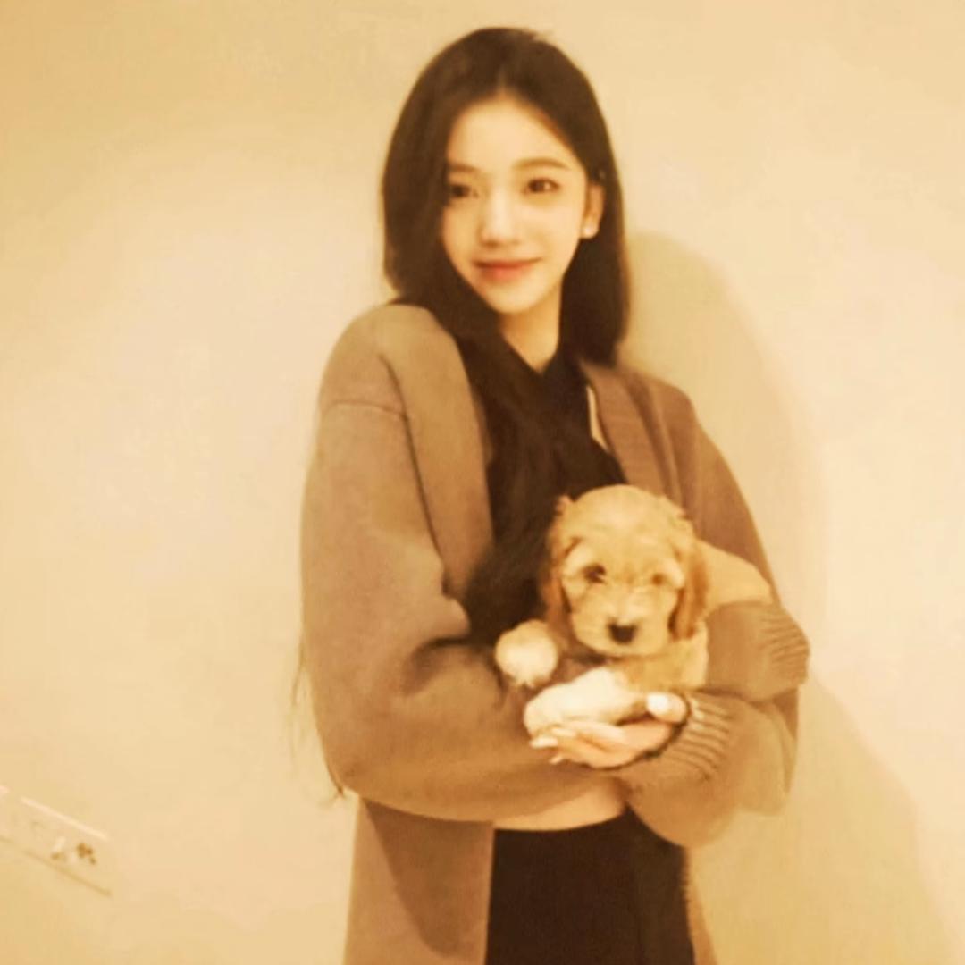 生气的烤冷面🍜