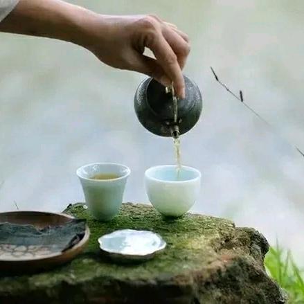 留得枯荷听雨声