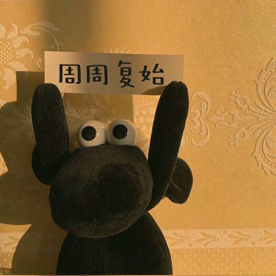 哈朵服饰.