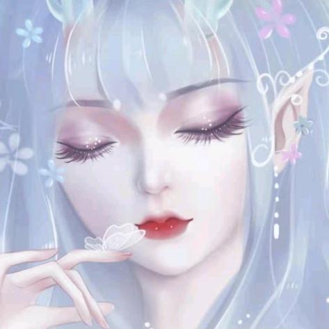 海鸥