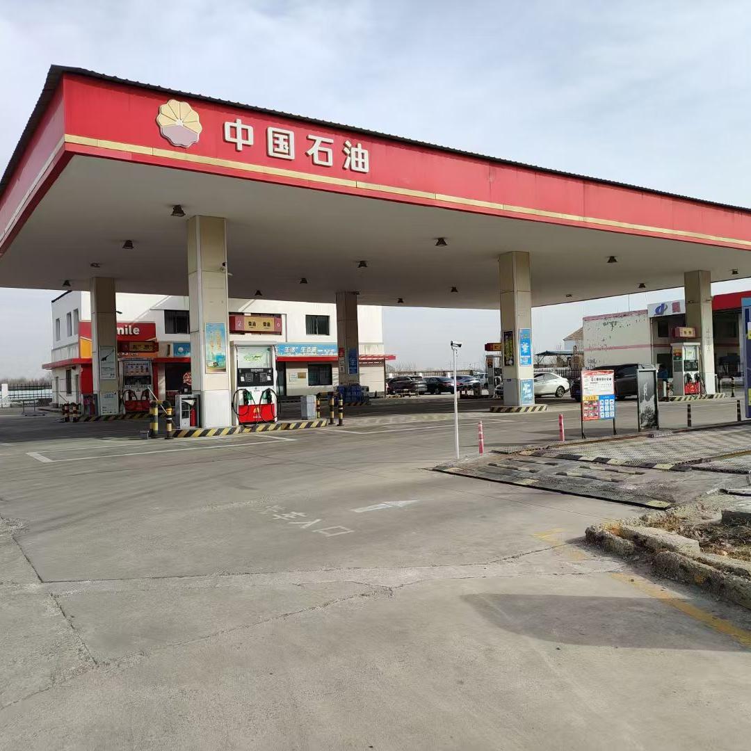 多米04