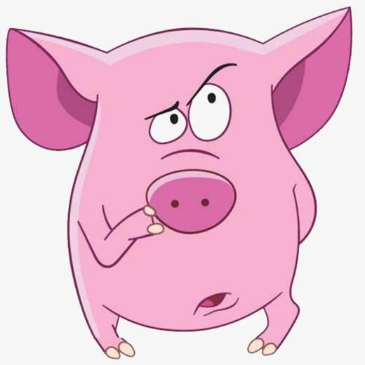 🐷养猪大亨🐷
