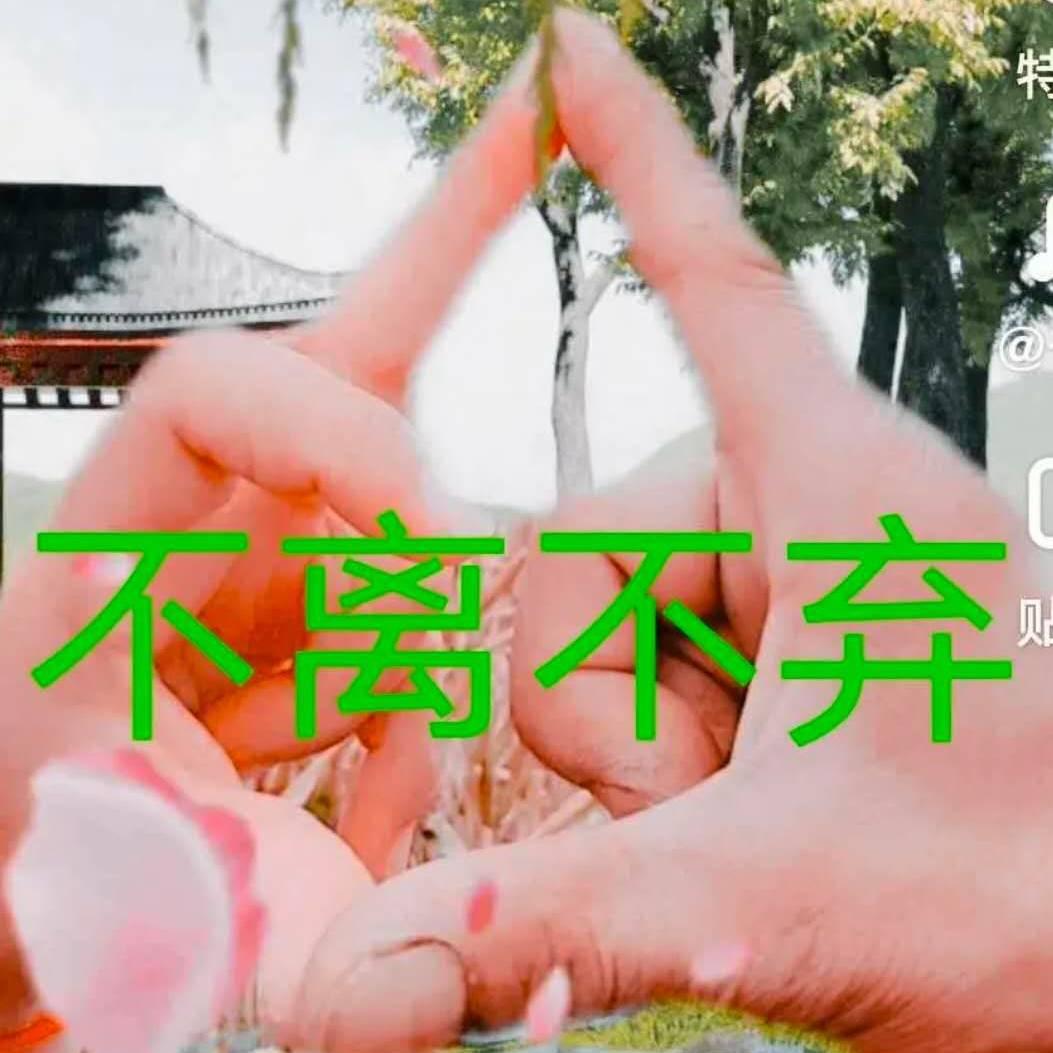 🌹带刺的玫瑰🌹