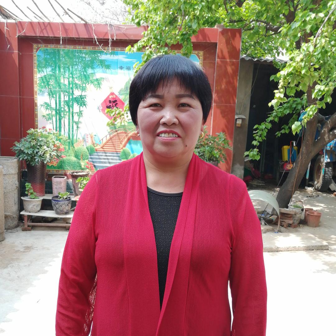 襄城杨姐