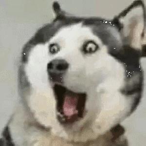 势不可挡的屏障超载勇士（金标免疫控制）