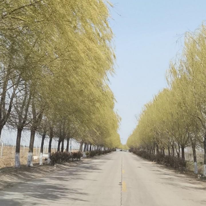 陈夏天