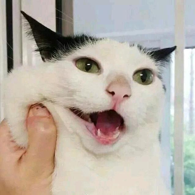 蘑蘑菇呀👿