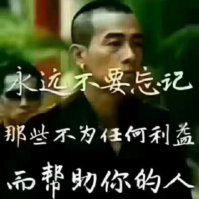 猛龙-过江