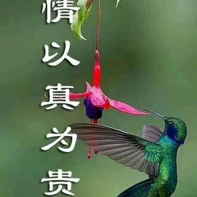 天意