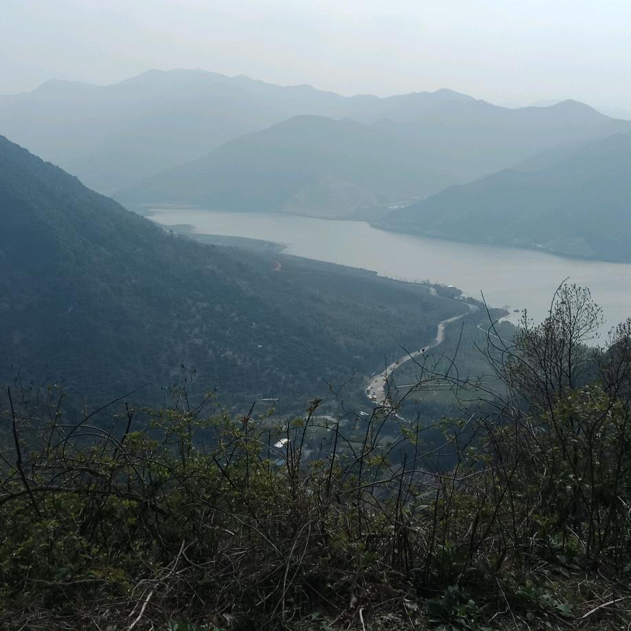 你为我活着