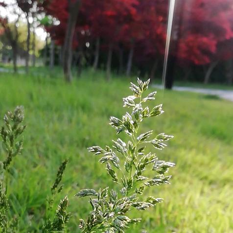 安然🌷