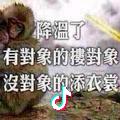 綱