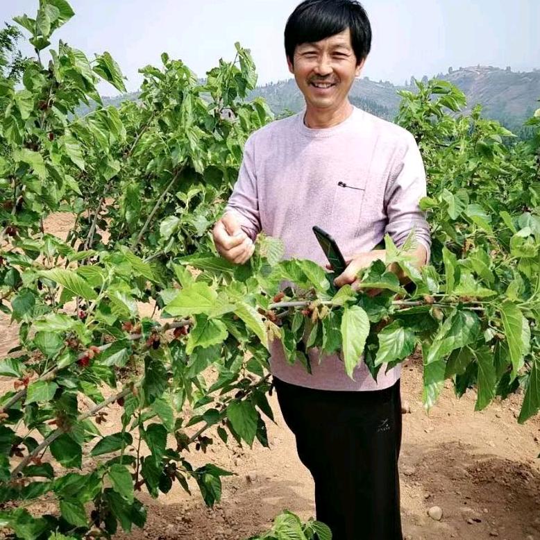 开心赵哥