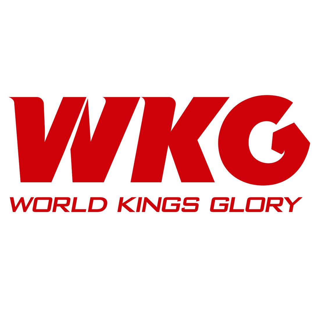 WKG综合格斗赛