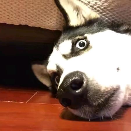 挖挖挖挖挖挖机
