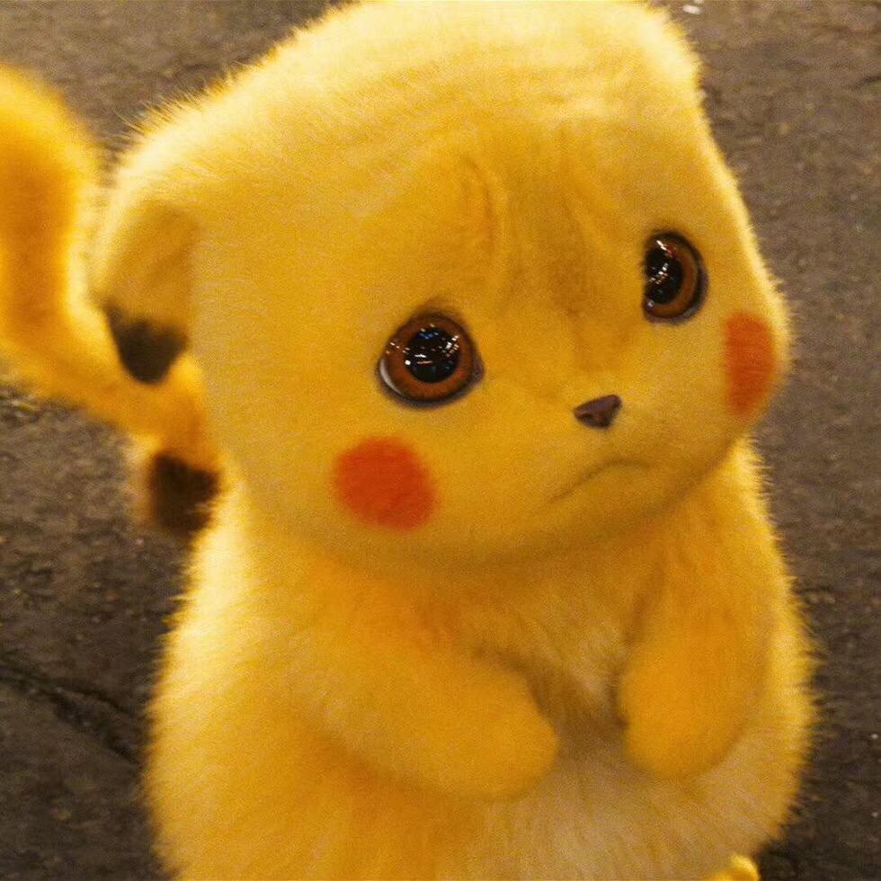 饺子先生🇳🇿