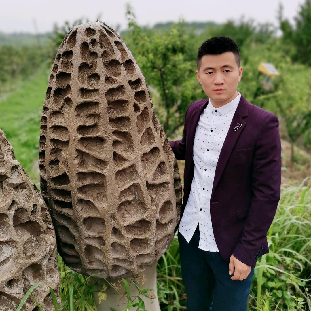 浩娃羊肚菌