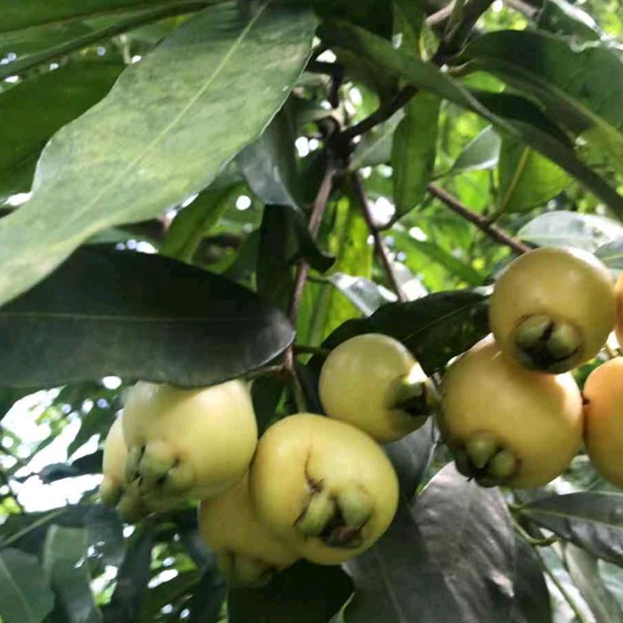 平平淡淡才是真，