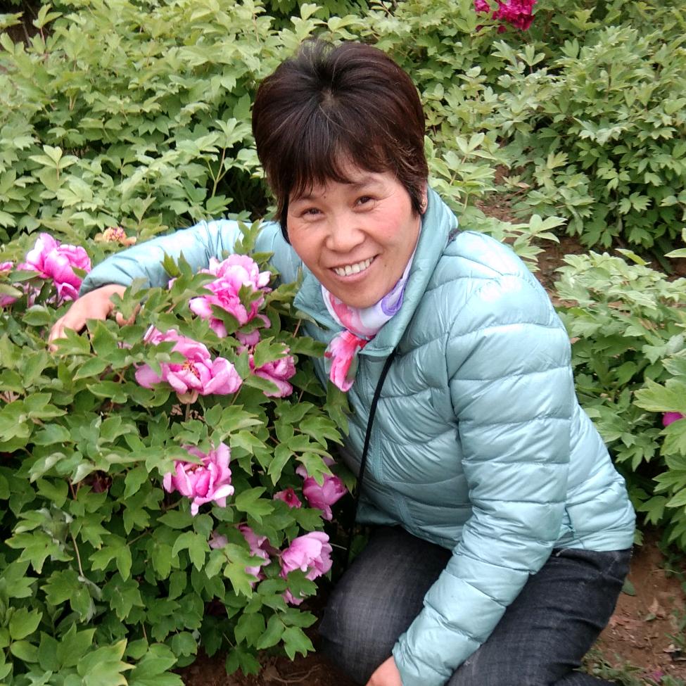 叶子