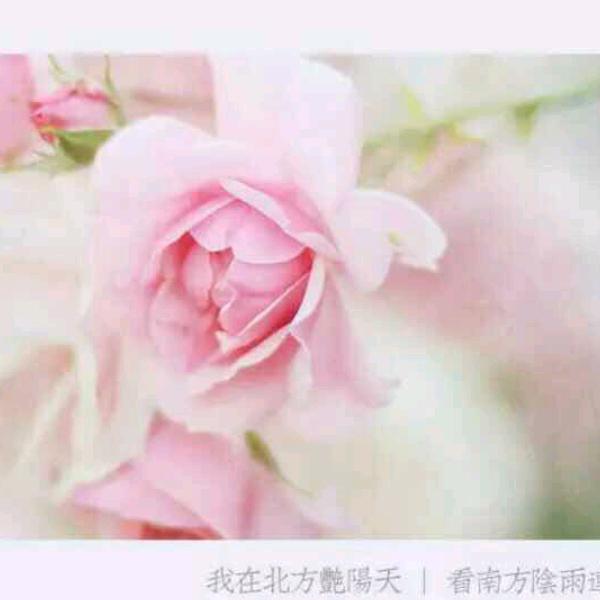 gjf小云